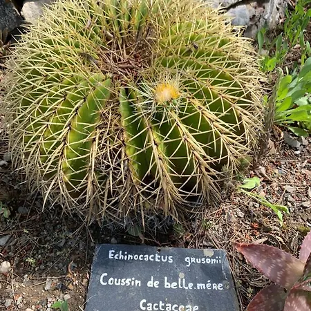 Villa@L'Aise Villa *